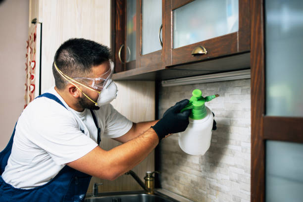 Best Spider Control Near Me  in Waunakee, WI