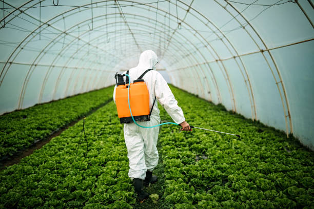 Best Mosquito Control Services  in Waunakee, WI