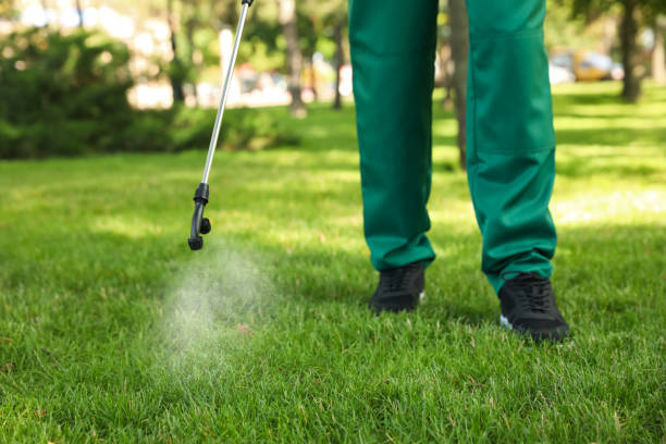 Best Rat Extermination Near Me  in Waunakee, WI