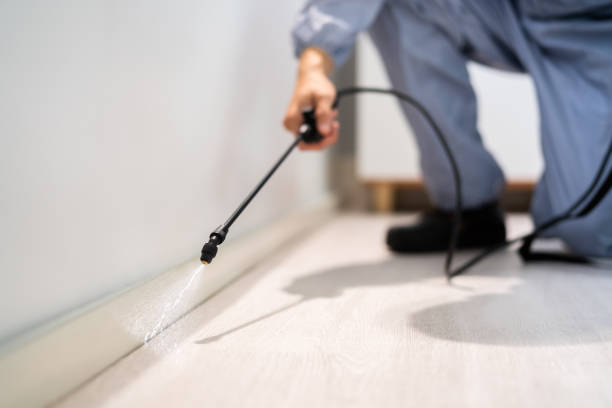 Professional Pest Control in Waunakee, WI