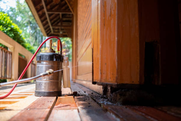 Best Wasp Removal Services  in Waunakee, WI