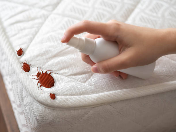 Pest Prevention Services in Waunakee, WI