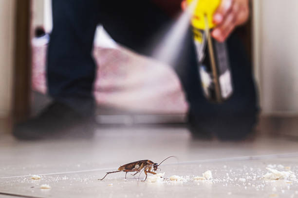 Best Exterminator Services  in Waunakee, WI