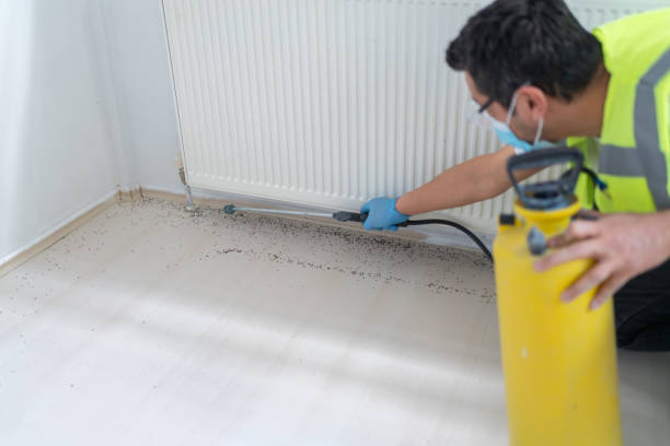 Best Emergency Pest Control  in Waunakee, WI