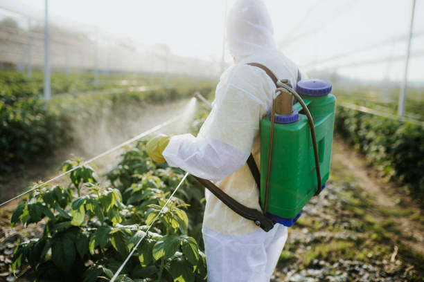 Best Best Pest Control Companies  in Waunakee, WI
